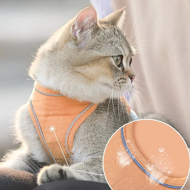 Harness og båndsett for katt | Skanto