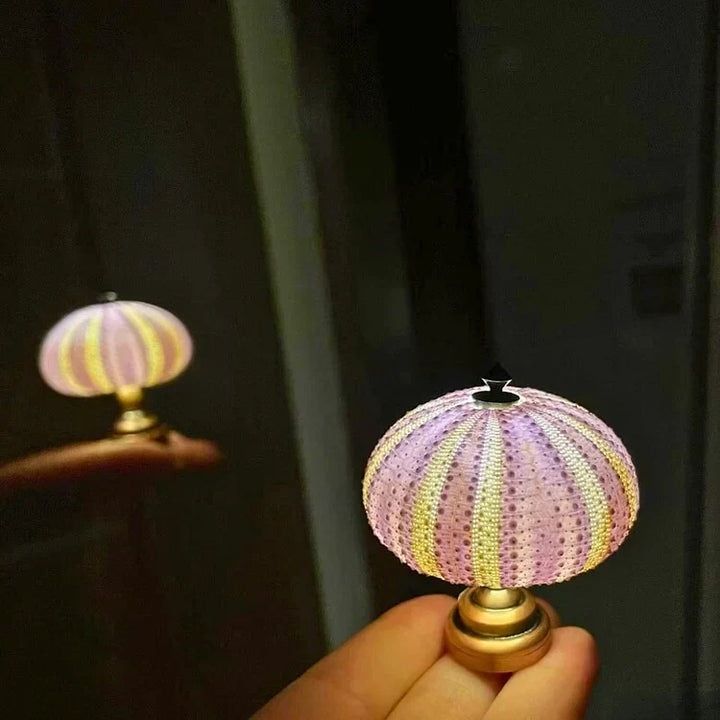 Skanto | LumiCraft – Unik DIY bordlampe med naturlig sjøskjell for en koselig dekor