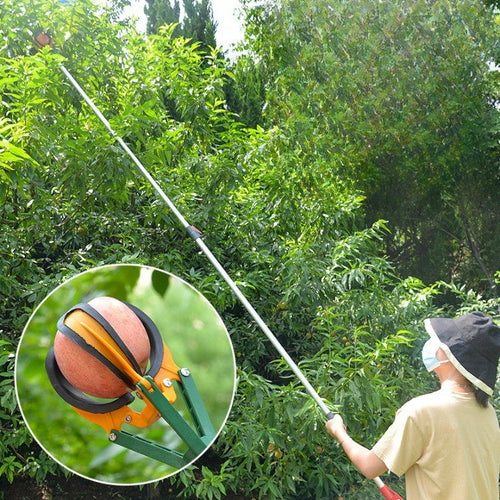 Skanto | Sky High Telescopic Håndtak Fruktplukker