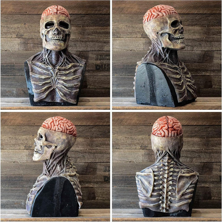 Skanto | Halloween Hodeskallemaske med Hjernekontur