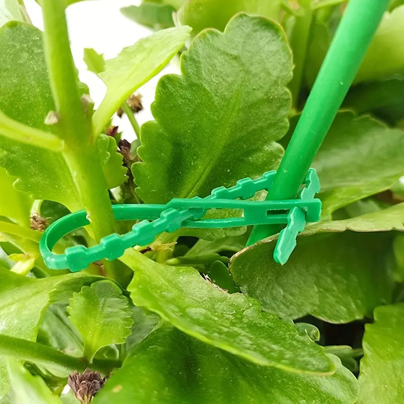 Skanto | Plante feste kabelbåndsett for stabil sikring av planter