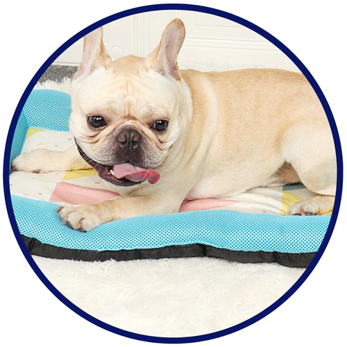Skanto | Pet Silk Cooling Mat