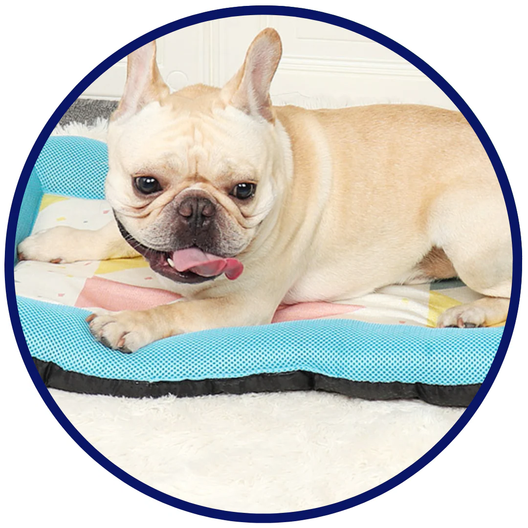 Pet Silk Cooling Mat | Skanto