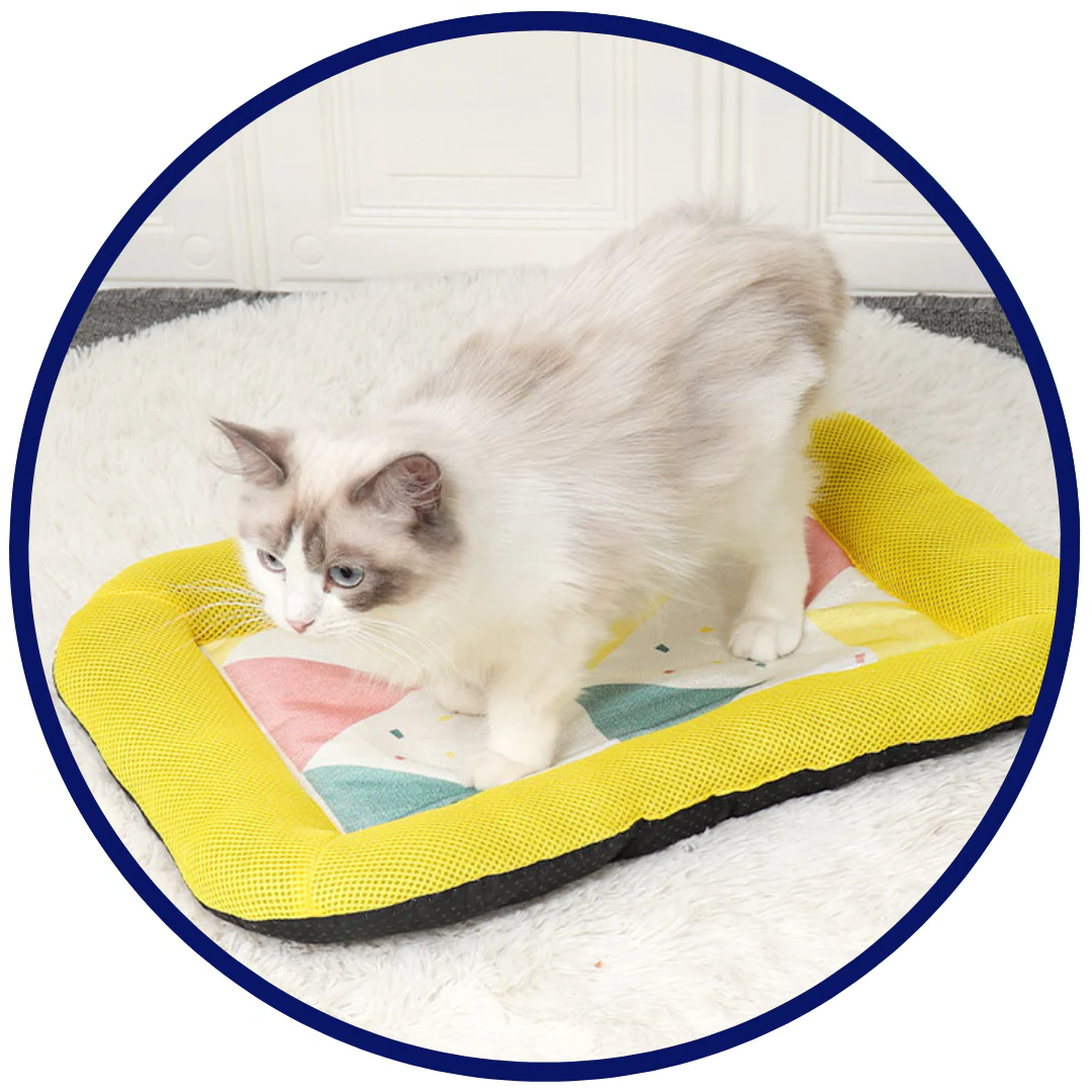 Pet Silk Cooling Mat | Skanto