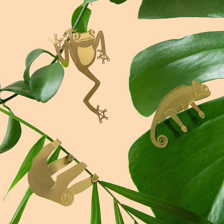 Skanto | Plant Dyr Dekorasjoner