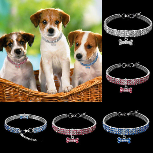 Glamorous Pet Collar – SparkleCollar Skanto