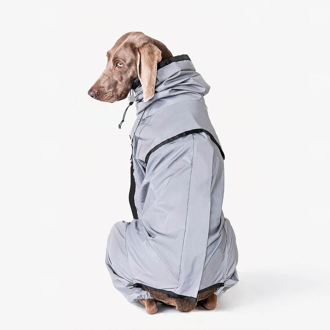 Skanto | Reflekterende Allvær Vanntett Kule Hundetilbehør Regnjakke