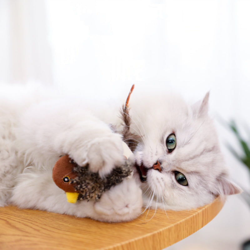 Skanto | Interaktiv kvitre katt leke