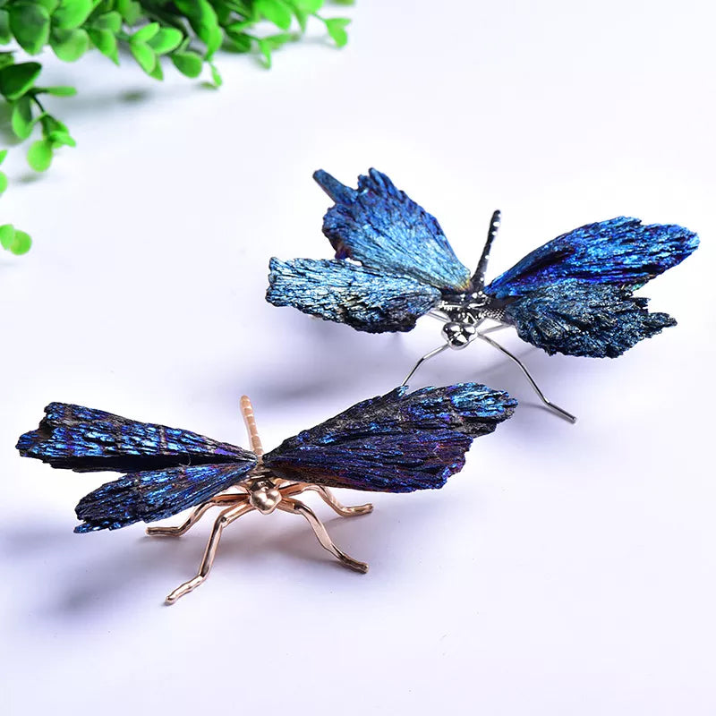 AURA TOURMALINE KYANITE DRAGEFLY | Skanto