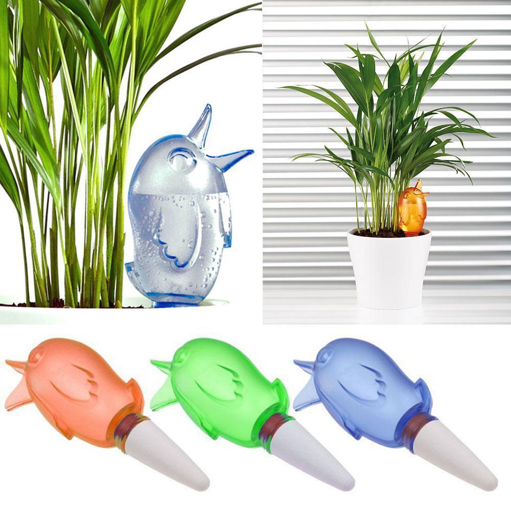 Automatisk liten fuglebewanningsanlegg | Skanto