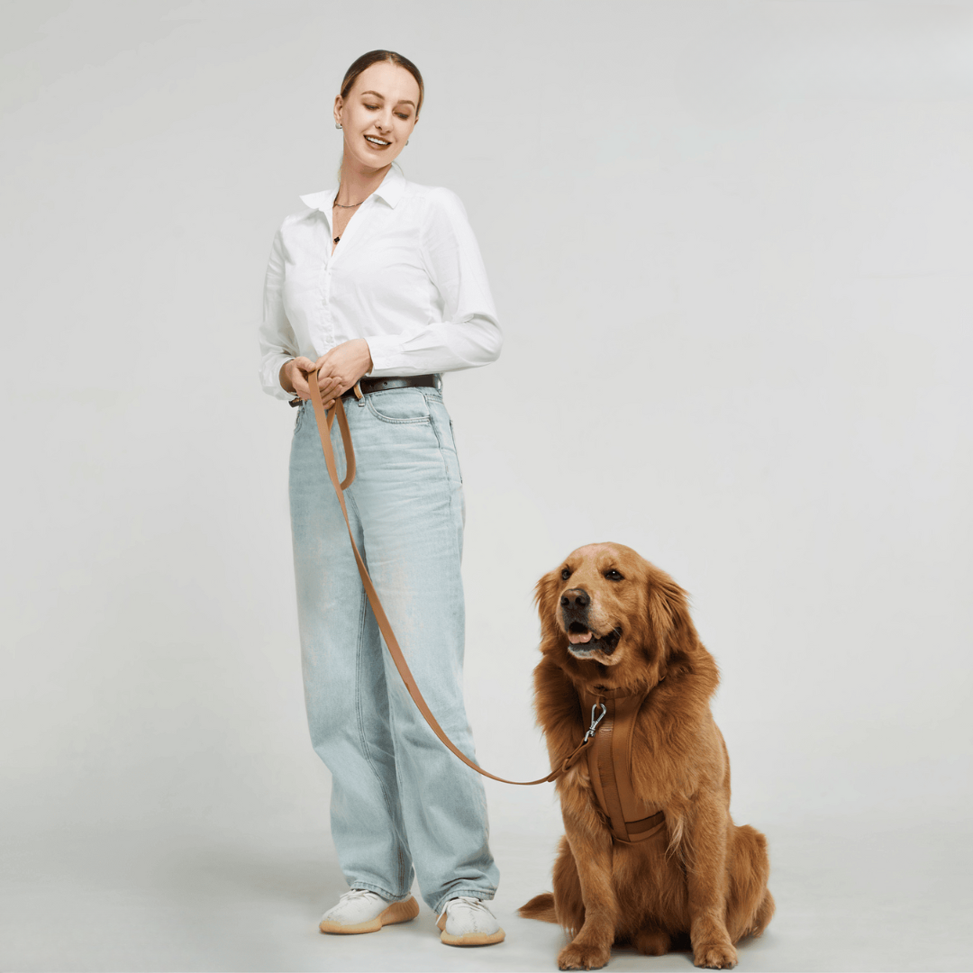 Skanto | ComfyPaws Hundesele Gåsett med Bånd og Bæsjeposeholder