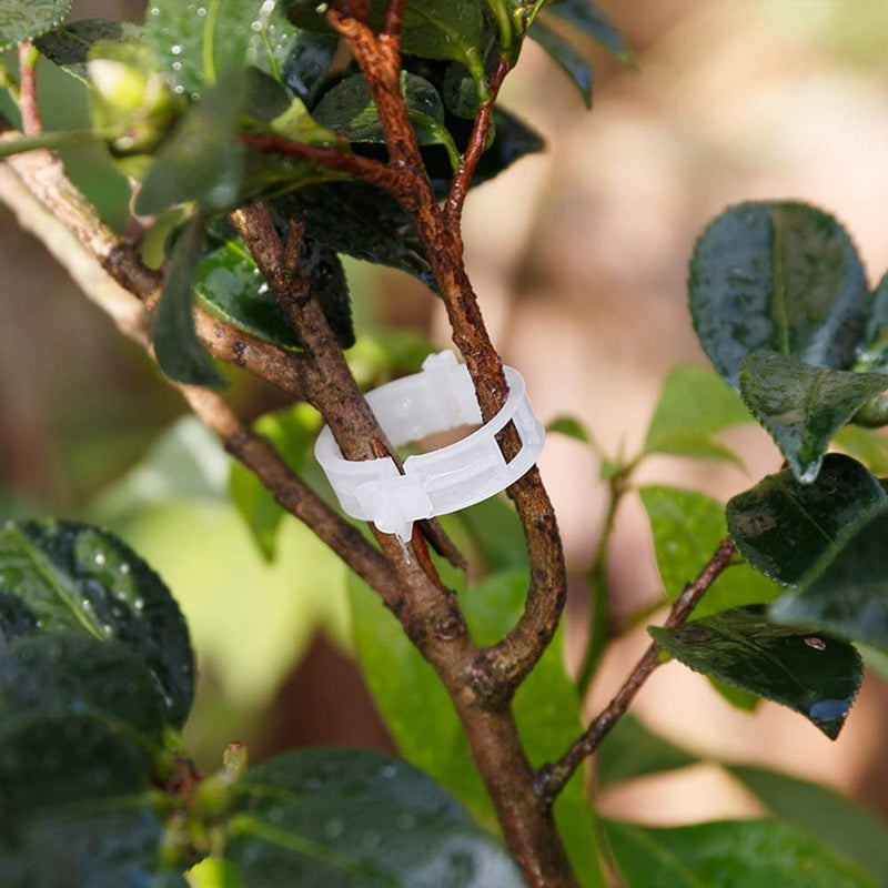Plastikkinn for å holde planter | Skanto