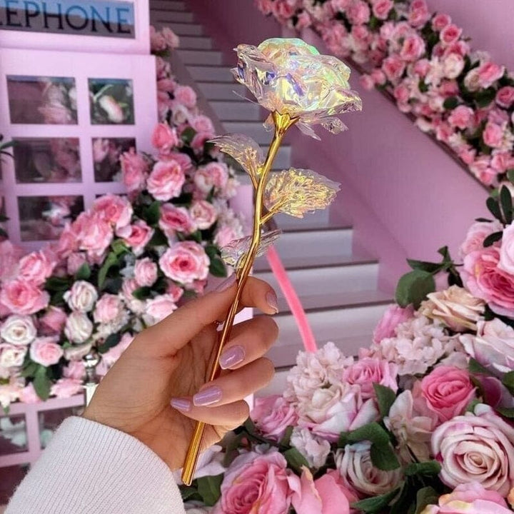 Fargerik galakse rose | Skanto