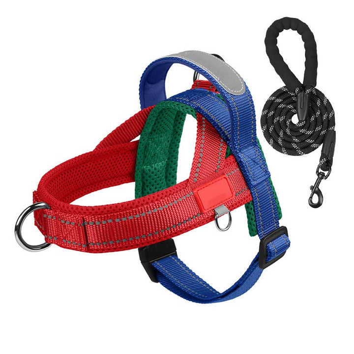 PawEase Comfort Harness — Avslappet påkledning og ubegrenset frihet for hunden din | Skanto