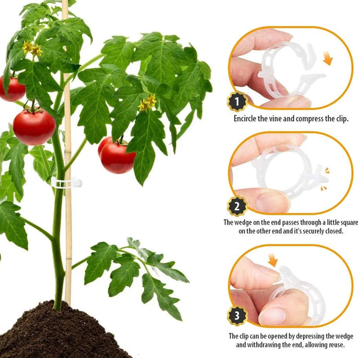 Skanto | Plante støtteklips