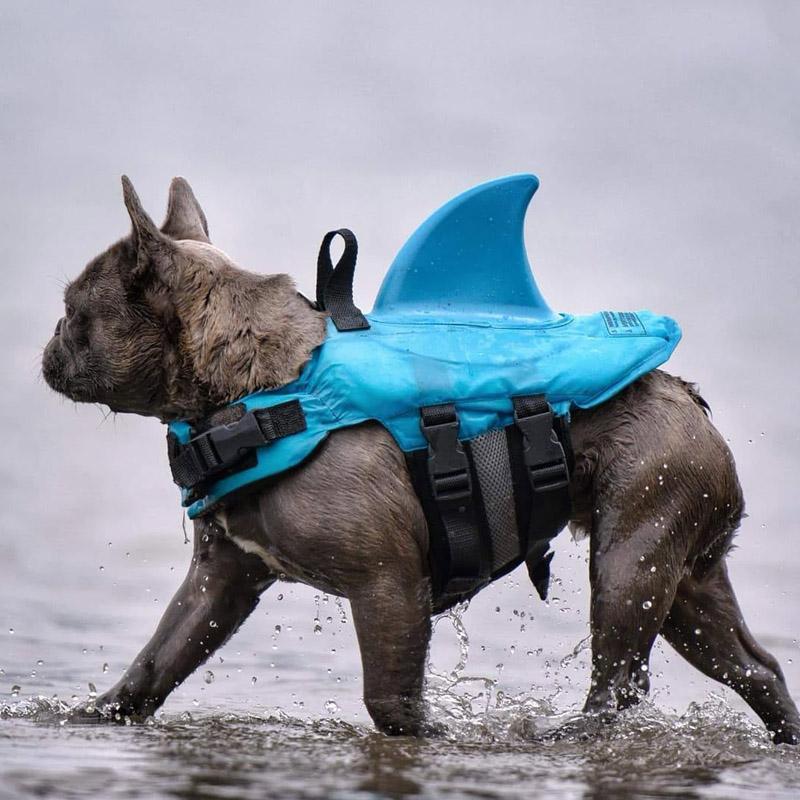Skanto | Shark Livvest