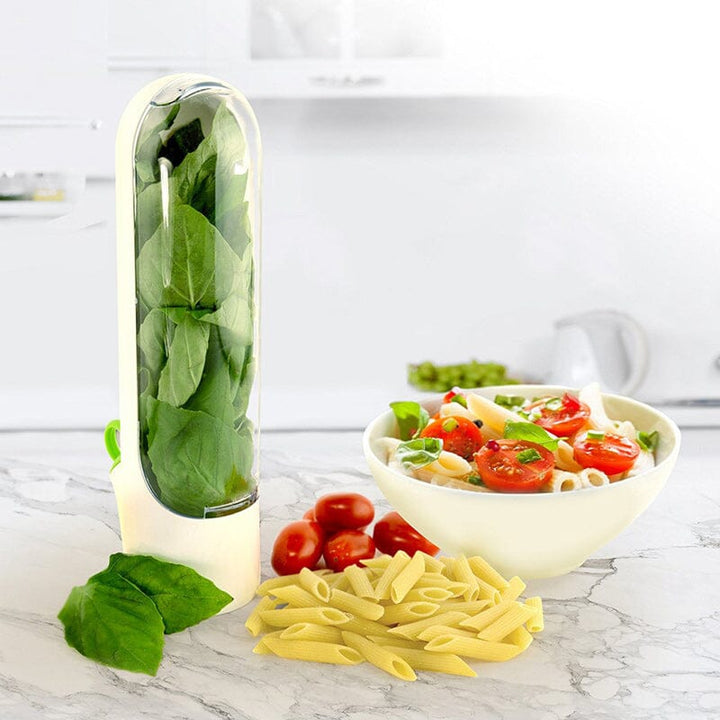 Skanto | Herb Fresh Holder