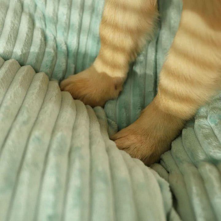 Skanto | FLURRYPAW