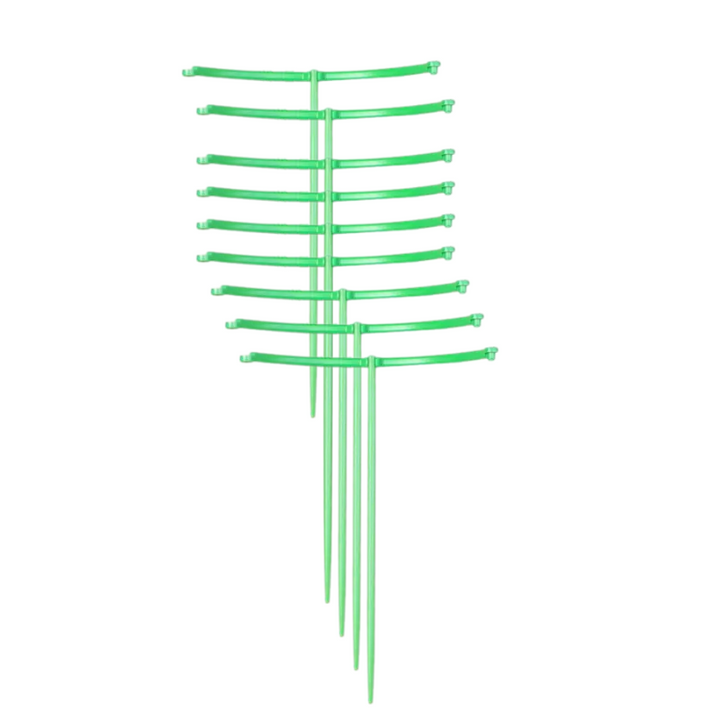 Skanto | GrowGrid