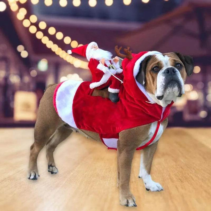 Skanto | Santa riding outfit