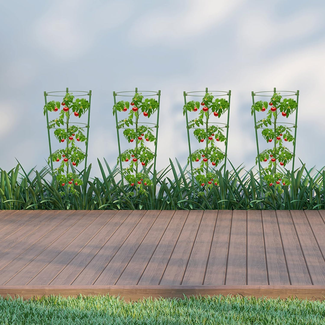 Skanto | Klatre ramme for planter – Solid støtte ring ramme for klatrende planter