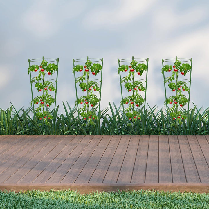 Skanto | Klatre ramme for planter – Solid støtte ring ramme for klatrende planter