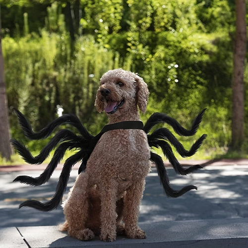 Skanto | Morsom Pels Hund Halloween Kostyme | Edderkopp Design