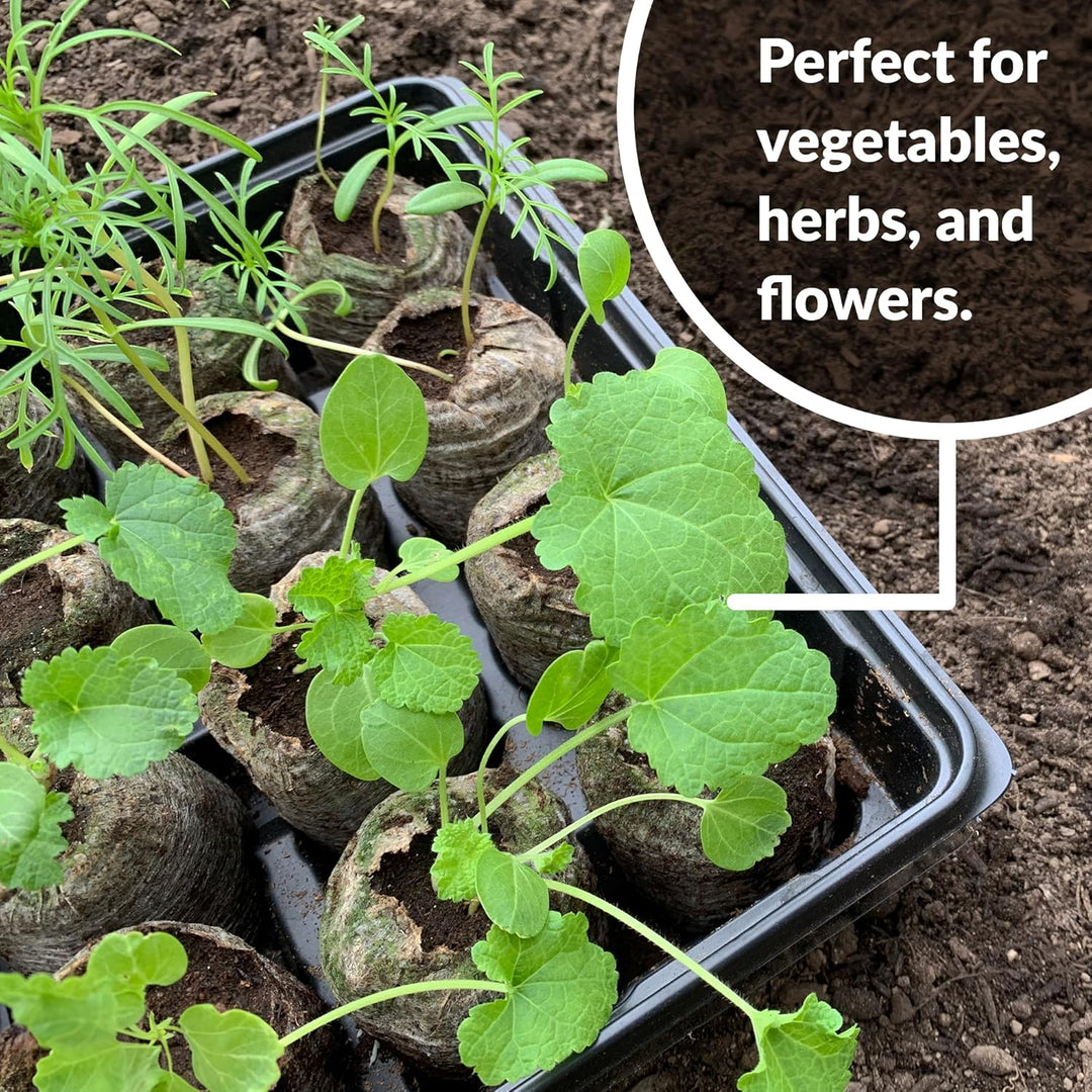 Skanto | Kokosfiber Torv Frøplante Pellets – Startpakke for Frøplante