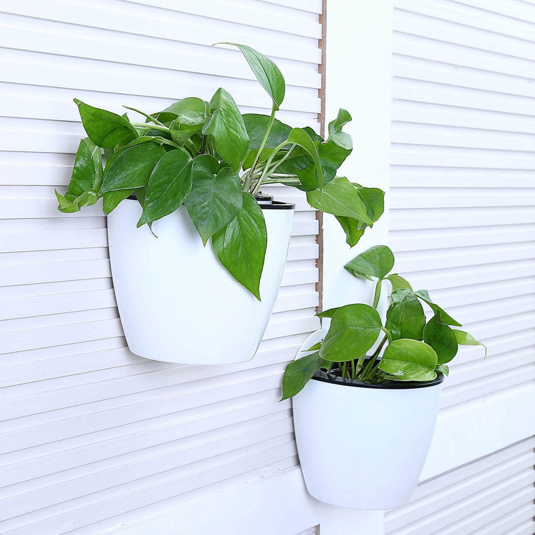 Skanto | Selvvannende hengende planterpotte – Moderne blomsterpotte for veggmontering
