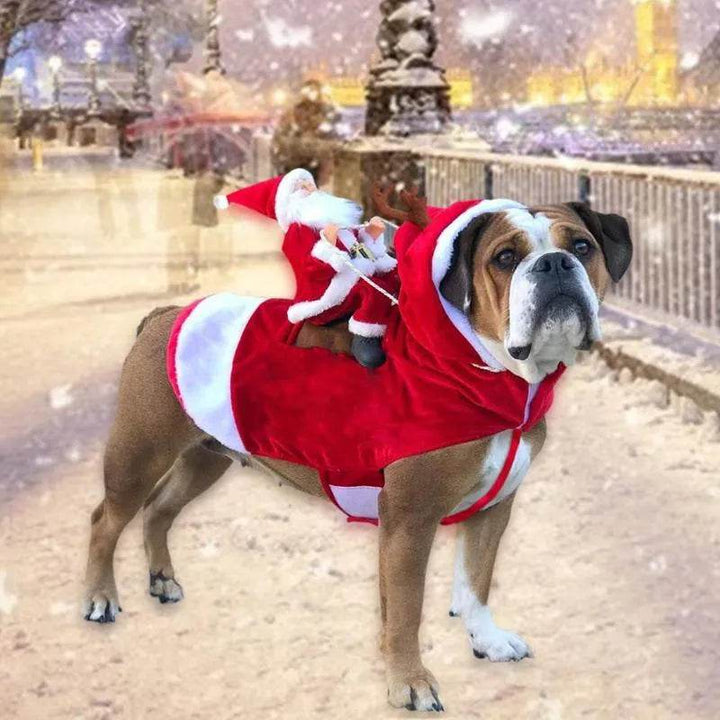 Skanto | Santa riding outfit