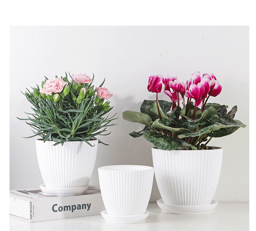 Skanto | Blomsterpotte med sporstruktur og skål – Robust plastpotte for planter
