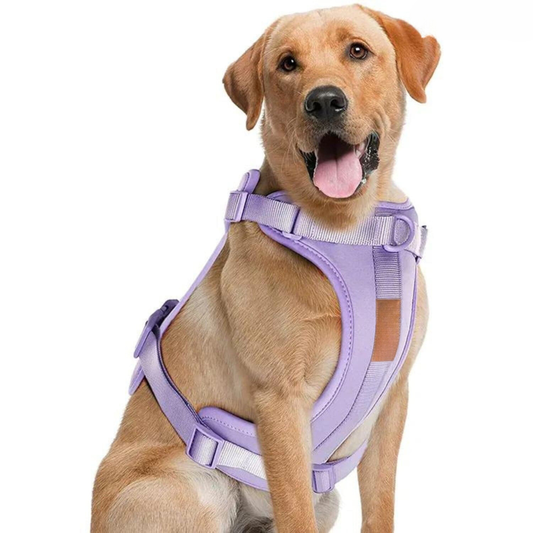 Skanto | ComfyPaws Hundesele Gåsett med Bånd og Bæsjeposeholder