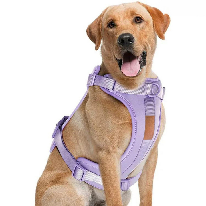 Skanto | ComfyPaws Hundesele Gåsett med Bånd og Bæsjeposeholder