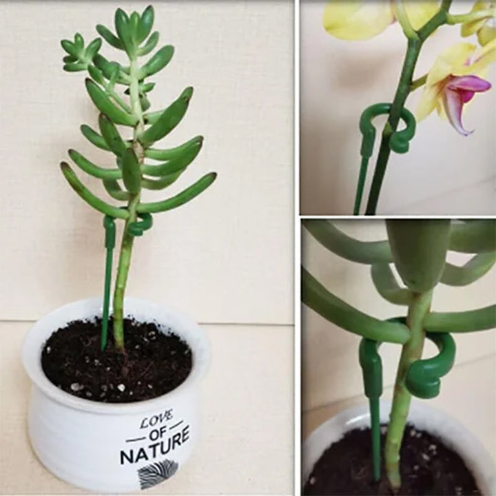 Skanto | Plante støtte