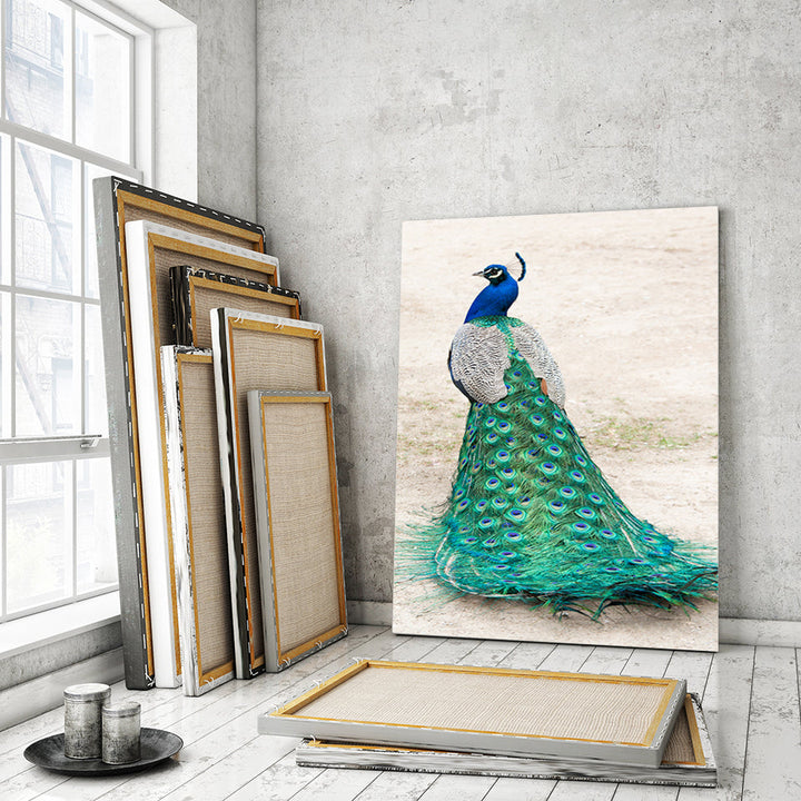 Elegant påfugl i skjørt – lerretbilde