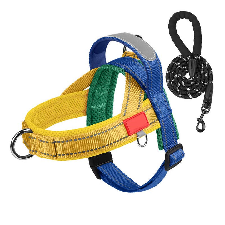 PawEase Comfort Harness — Avslappet påkledning og ubegrenset frihet for hunden din | Skanto