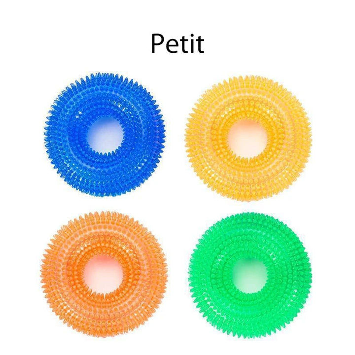 Vocal Ball Toy for Dog to Bite | Skanto