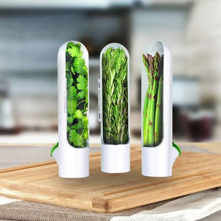 Skanto | Herb Fresh Holder
