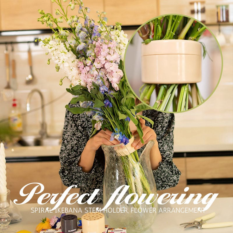 Skanto | Spiral Ikebana Stilkholder