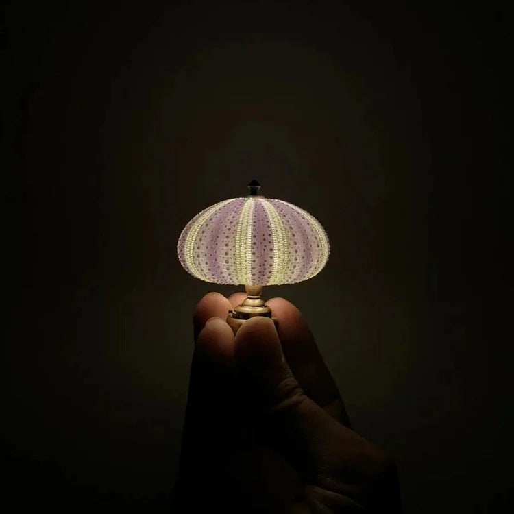 Skanto | LumiCraft – Unik DIY bordlampe med naturlig sjøskjell for en koselig dekor
