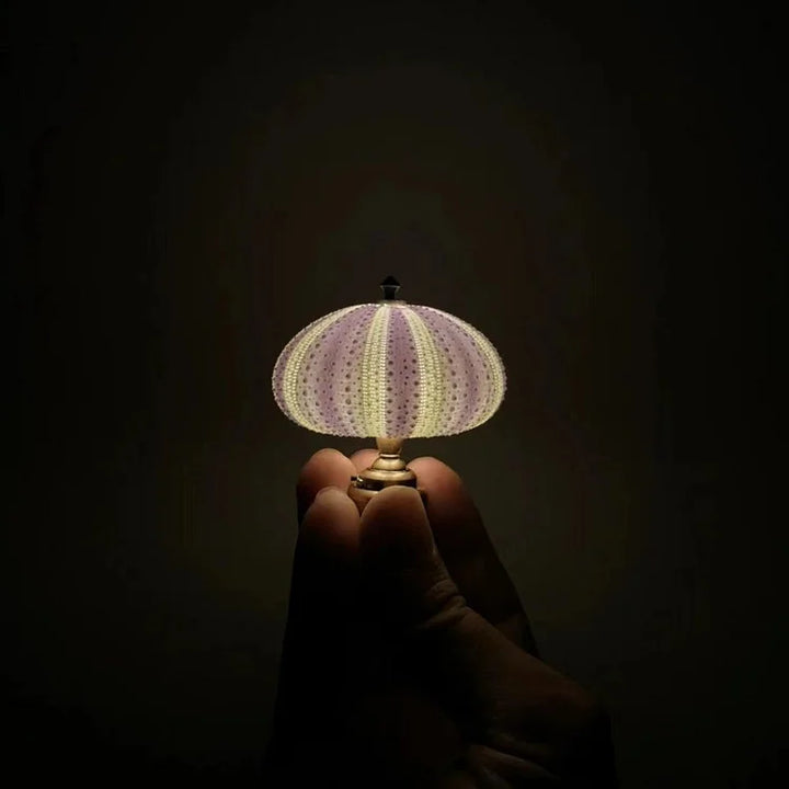 Skanto | LumiCraft – Unik DIY bordlampe med naturlig sjøskjell for en koselig dekor