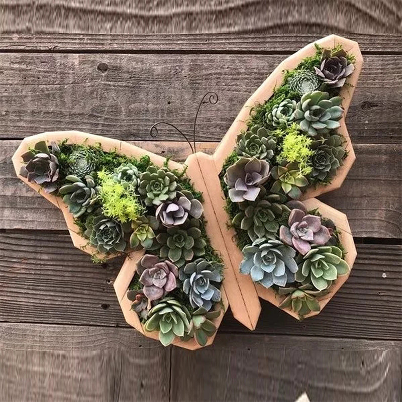 Animal Succulent Hageoppsett | Skanto