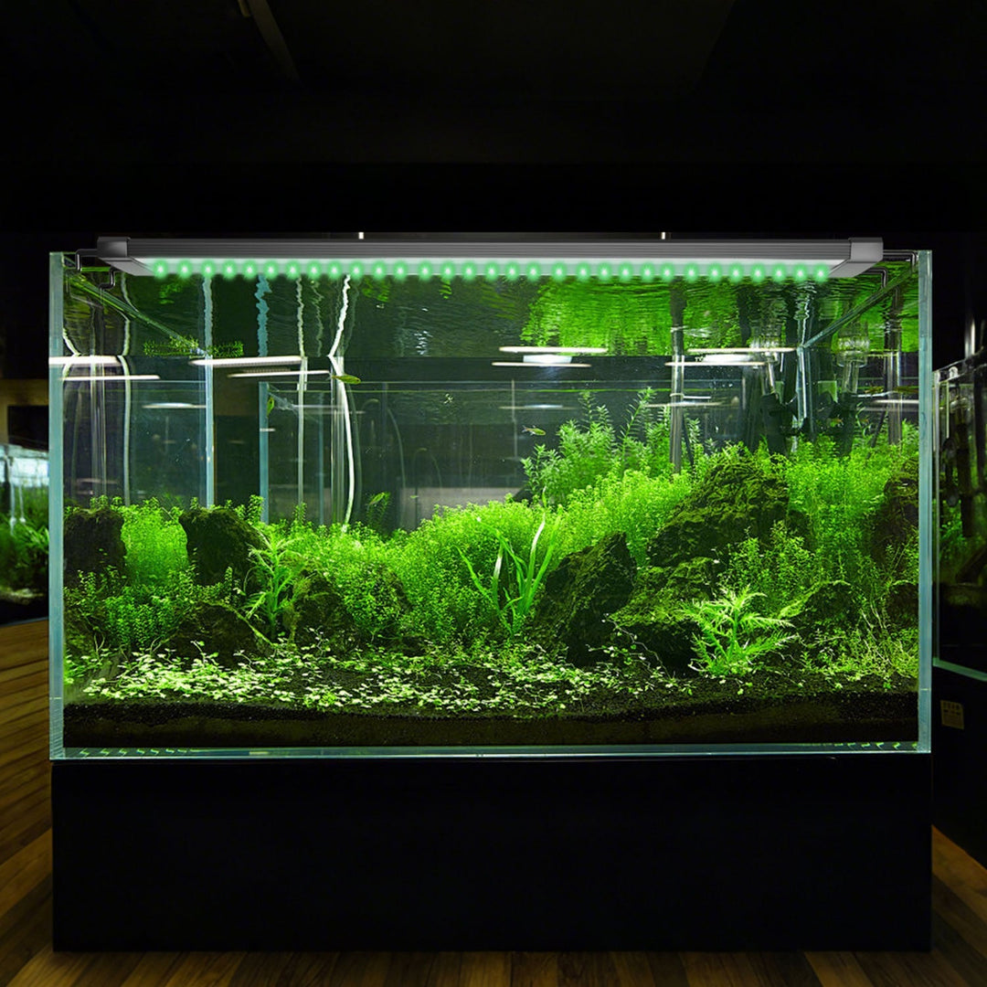 LED akvariebelysning 24/7 modus med timer | Skanto