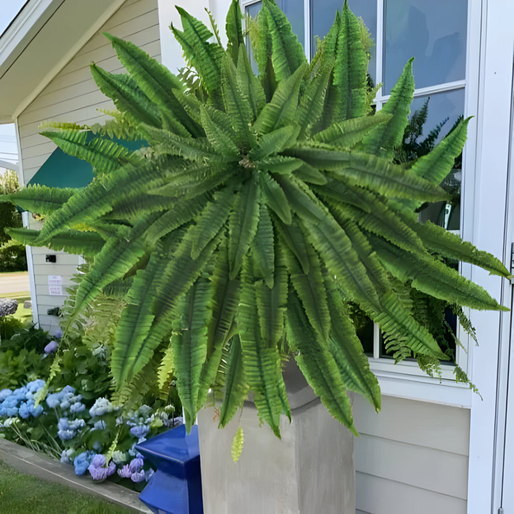 Skanto | Kunstig Boston Fern Hjem Deko Plante