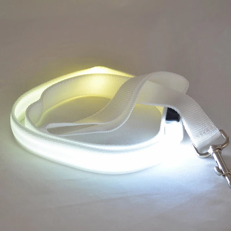 Skanto | LED hundebånd med USB-lading og reflekterende design