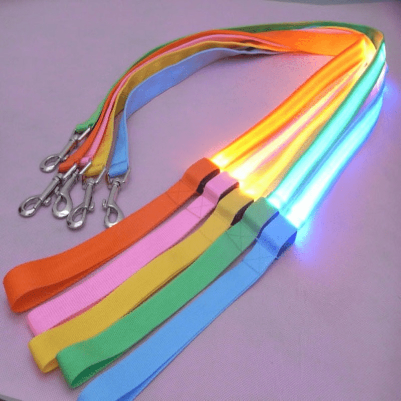Skanto | LED hundebånd med USB-lading og reflekterende design