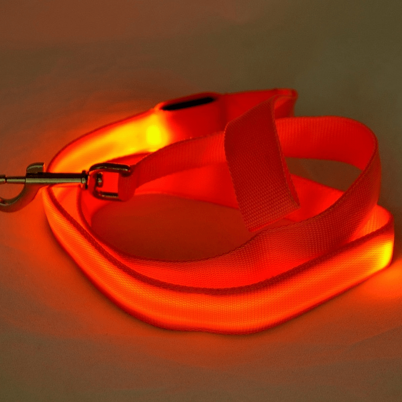 Skanto | LED hundebånd med USB-lading og reflekterende design