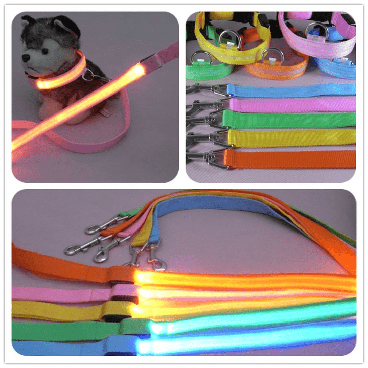 Skanto | LED hundebånd med USB-lading og reflekterende design