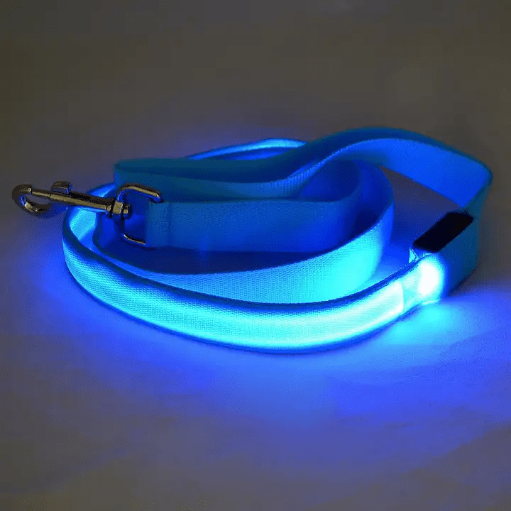 Skanto | LED hundebånd med USB-lading og reflekterende design