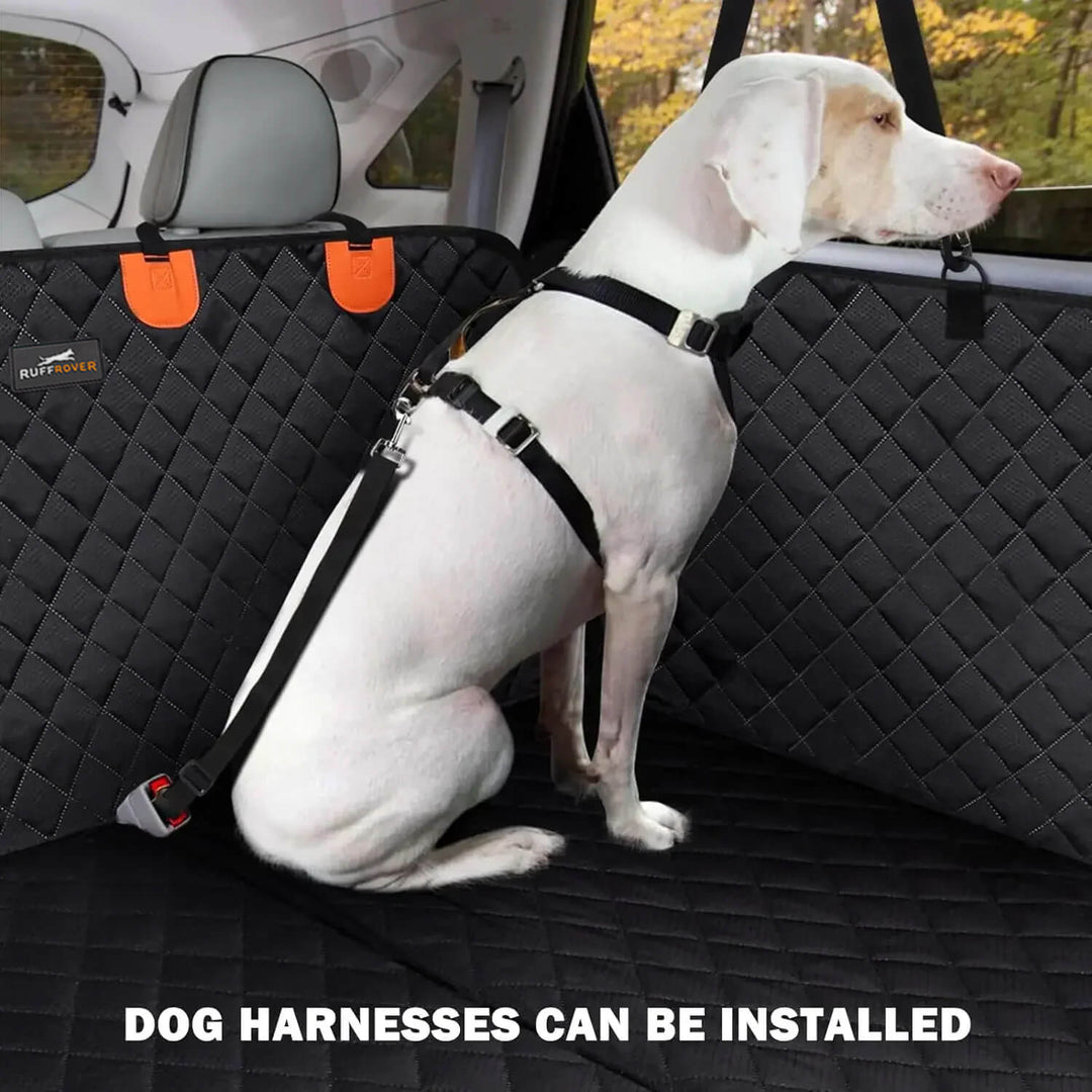 Skanto | DogBench | Reis fredelig med hunden din
